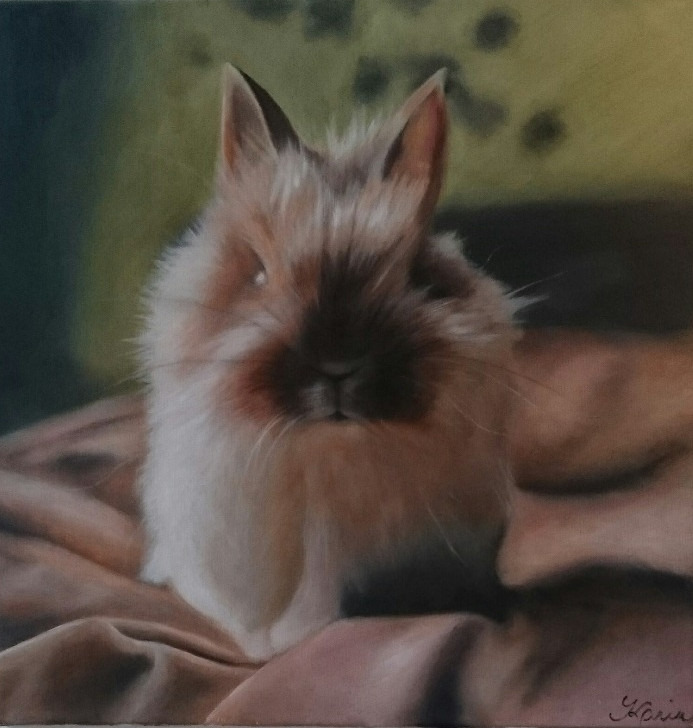 33. Little ball of fluff